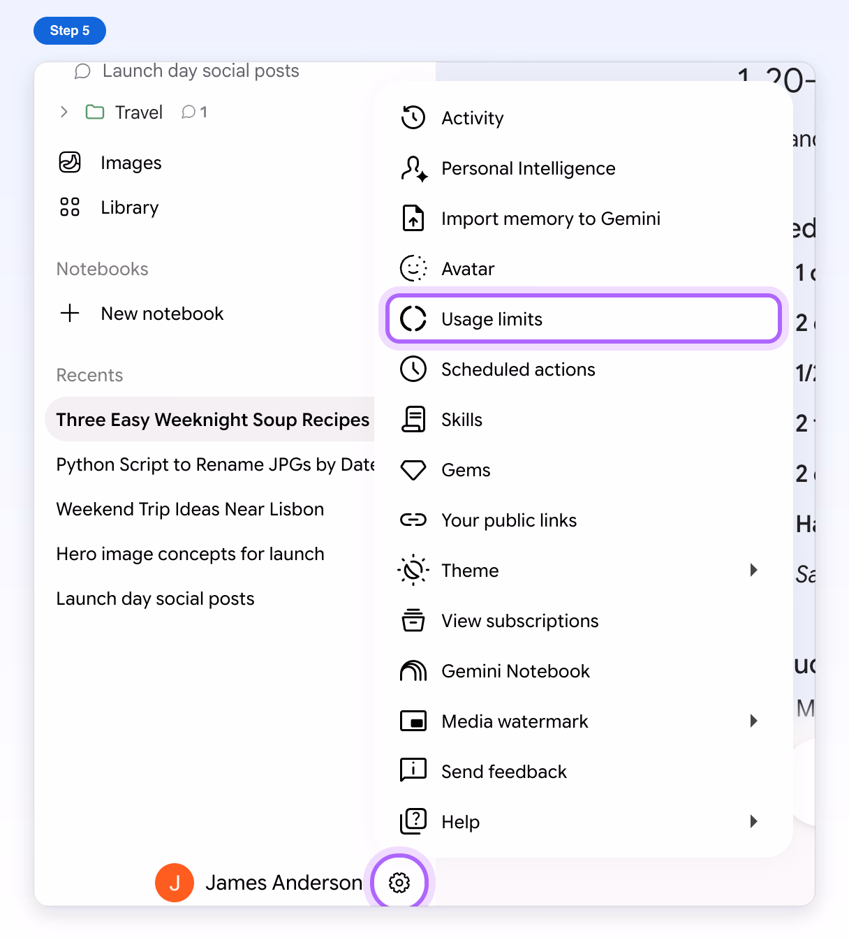 Gemini Settings menu opened from the gear at the bottom left, with Usage limits highlighted
